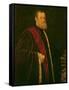 Portrait of Andrea Cappello-Jacopo Robusti Tintoretto-Framed Stretched Canvas