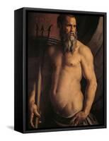 Portrait of Andrea Doria as Neptune-Agnolo Bronzino-Framed Stretched Canvas