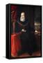 Portrait of Andrea Doria-null-Framed Stretched Canvas