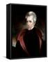 Portrait of Andrew Jackson, c.1837-Ralph Eleaser Whiteside Earl-Framed Stretched Canvas