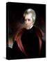 Portrait of Andrew Jackson, c.1837-Ralph Eleaser Whiteside Earl-Stretched Canvas