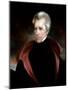 Portrait of Andrew Jackson, c.1837-Ralph Eleaser Whiteside Earl-Mounted Giclee Print