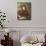 Portrait of Anna Maria 'Nettie' Jameson, Nee Davies-William Blake Richmond-Mounted Giclee Print displayed on a wall