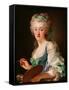 Portrait of Anne Vallayer-Coster, 1783-Alexander Roslin-Framed Stretched Canvas