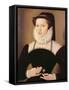 Portrait of Anne Waltham, 1572-Francois Quesnel-Framed Stretched Canvas