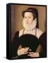 Portrait of Anne Waltham, 1572-Francois Quesnel-Framed Stretched Canvas