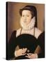 Portrait of Anne Waltham, 1572-Francois Quesnel-Stretched Canvas