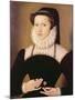 Portrait of Anne Waltham, 1572-Francois Quesnel-Mounted Giclee Print