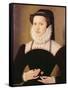 Portrait of Anne Waltham, 1572-Francois Quesnel-Framed Stretched Canvas