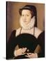 Portrait of Anne Waltham, 1572-Francois Quesnel-Stretched Canvas