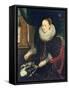 Portrait of Antonia Canis-Cornelis de Vos-Framed Stretched Canvas
