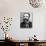 Portrait of Antonin Dvorak, Czech Composer, 1841-1904-null-Photographic Print displayed on a wall