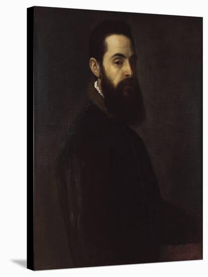 Portrait of Antonio Anselmi-Titian (Tiziano Vecelli)-Stretched Canvas