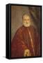 Portrait of Antonio Cappello-Jacopo Robusti Tintoretto-Framed Stretched Canvas