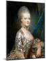 Portrait of Archduchess Maria Antonia of Austria (1755-179)-Joseph Ducreux-Mounted Giclee Print