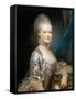 Portrait of Archduchess Maria Antonia of Austria (1755-179)-Joseph Ducreux-Framed Stretched Canvas