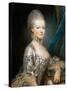 Portrait of Archduchess Maria Antonia of Austria (1755-179)-Joseph Ducreux-Stretched Canvas