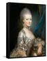 Portrait of Archduchess Maria Antonia of Austria (1755-179)-Joseph Ducreux-Framed Stretched Canvas