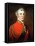 Portrait of Arthur Wellesley, 1st Duke of Wellington (1769-1852) Wearing the Order of the Golden…-John Robert Wildman-Framed Stretched Canvas