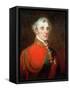 Portrait of Arthur Wellesley, 1st Duke of Wellington (1769-1852) Wearing the Order of the Golden…-John Robert Wildman-Framed Stretched Canvas