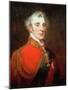 Portrait of Arthur Wellesley, 1st Duke of Wellington (1769-1852) Wearing the Order of the Golden…-John Robert Wildman-Mounted Giclee Print