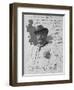 Portrait of Arturo Colautti, 1917, Photograph-null-Framed Giclee Print