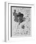 Portrait of Arturo Colautti, 1917, Photograph-null-Framed Giclee Print