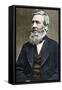 Portrait of Asa Gray (1810-1888), American botanist c1884-American Photographer-Framed Stretched Canvas