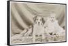 Portrait of Baby and Dog-null-Framed Stretched Canvas