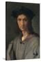 Portrait of Baccio Bandinelli (or Self-portrait)-Andrea del Sarto-Stretched Canvas