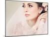 Portrait of Beautiful Bride-Pandorabox-Mounted Photographic Print