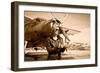 Portrait of Beautiful Female Pilot with Plane Behind. Sepia Photo.-Aleksandar Todorovic-Framed Art Print