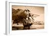 Portrait of Beautiful Female Pilot with Plane Behind. Sepia Photo.-Aleksandar Todorovic-Framed Art Print