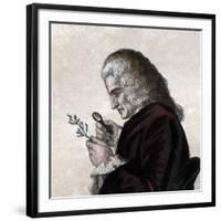 Portrait of Bernard de Jussieu (1699-1777), French naturalist-French School-Framed Giclee Print