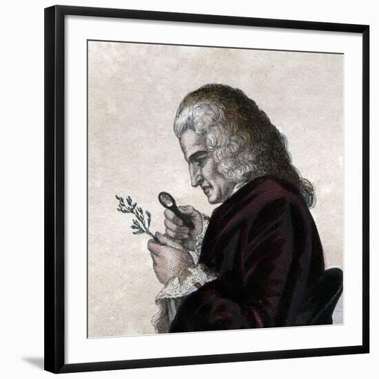 Portrait of Bernard de Jussieu (1699-1777), French naturalist-French School-Framed Giclee Print