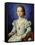 Portrait of Bia De' Medici, c.1542-Agnolo Bronzino-Framed Stretched Canvas