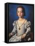 Portrait of Bia De Medici-Agnolo Bronzino-Framed Stretched Canvas