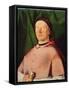 Portrait of Bishop Bernardino de' Rossi, c.1505-Lorenzo Lotto-Framed Stretched Canvas