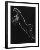 Portrait of Blackie, Gjon Mili's Cat-Gjon Mili-Framed Photographic Print