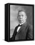 Portrait of Booker T. Washington-Stocktrek Images-Framed Stretched Canvas