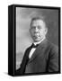 Portrait of Booker T. Washington-Stocktrek Images-Framed Stretched Canvas