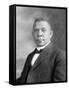 Portrait of Booker T. Washington-Stocktrek Images-Framed Stretched Canvas