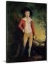 Portrait of Bridger Seward with a Cricket Bat, circa 1788-91-Ozias Humphry-Stretched Canvas