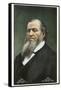 Portrait of Brigham Young-null-Framed Stretched Canvas