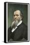 Portrait of Brigham Young-null-Framed Stretched Canvas