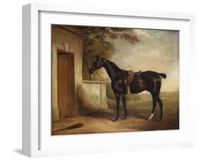 Portrait of Buckle, First Lord Chesham's Hunter, 1836-John E. Ferneley-Framed Giclee Print