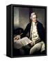 Portrait of Captain James Cook, 1775-76-Nathaniel Dance-Holland-Framed Stretched Canvas