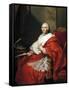 Portrait of Cardinal Alberico Archinto-Anton Raphael Mengs-Framed Stretched Canvas