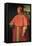 Portrait of Cardinal Alessandro Farnese, Future Pope Paul III-null-Framed Stretched Canvas