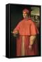 Portrait of Cardinal Alessandro Farnese, Future Pope Paul III-null-Framed Stretched Canvas